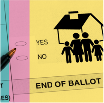 Ballot Initiative Guide